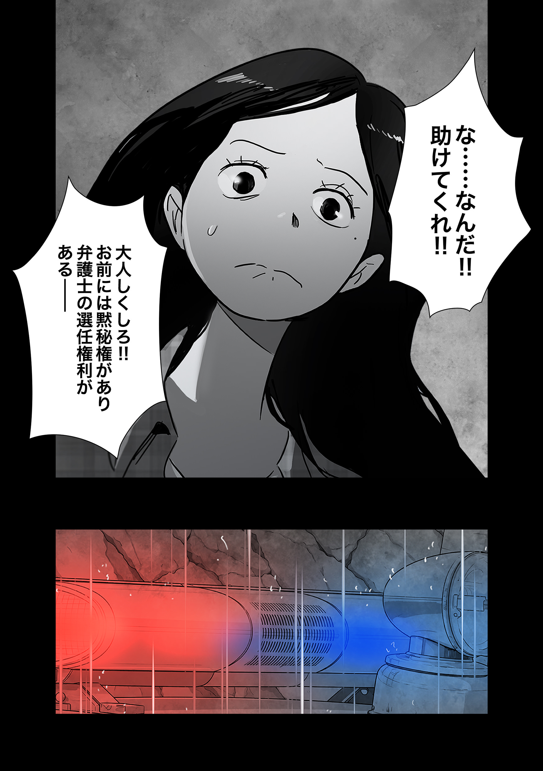 エルピス 真実、あるいは沈黙（えるぴす しんじつ、あるいはちんもく）